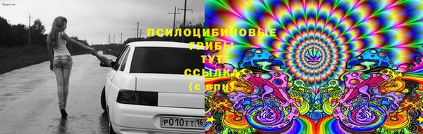 индика Бугульма